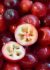 Cranberries 3
