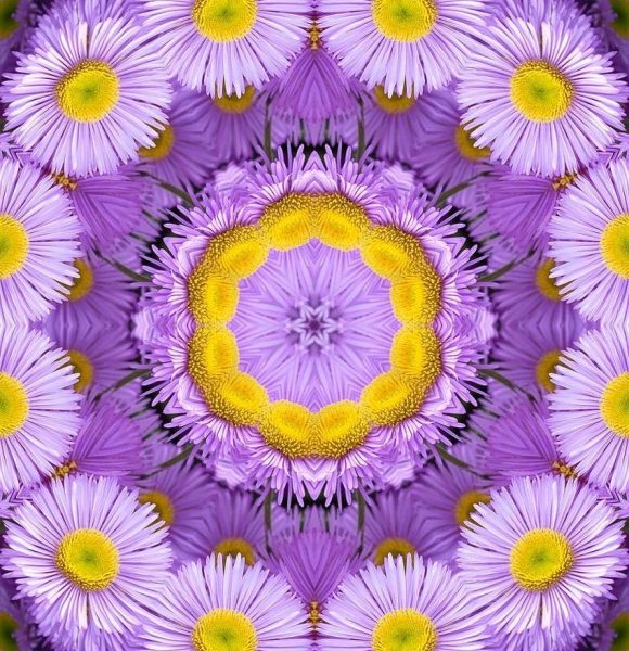 background, full hd wallpaper, 4k wallpaper 1920x1080, floral, free background, flower wallpaper, windows wallpaper, laptop wallpaper, flower, purple, flower background, wallpaper hd, kaleidoscope, 4k wallpaper, mac wallpaper, wallpaper 4k, beautiful flowers, nature, bright, beautiful wallpaper, cool backgrounds, free wallpaper, daisy, lilac background, floral background, desktop backgrounds, hd wallpaper, lilac flower